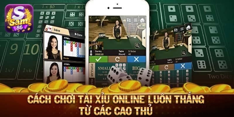 Thông tin về cách chơi tài xỉu online cho người mới